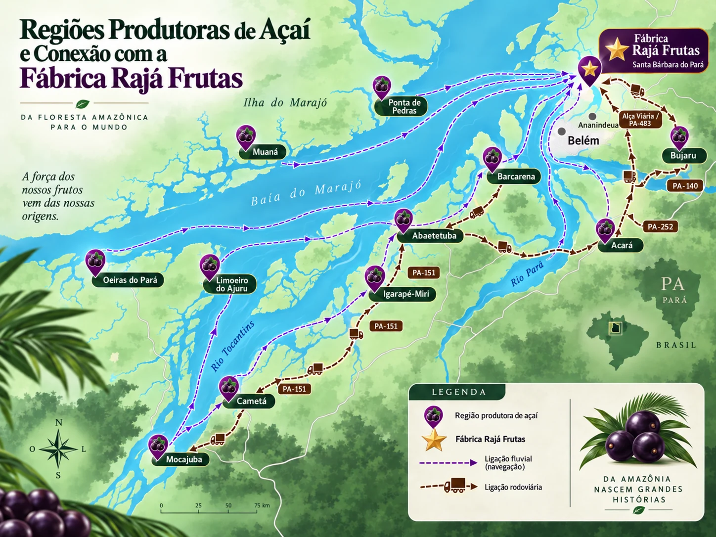 Mapa das regiões produtoras de açaí e conexões até a fábrica Rajá