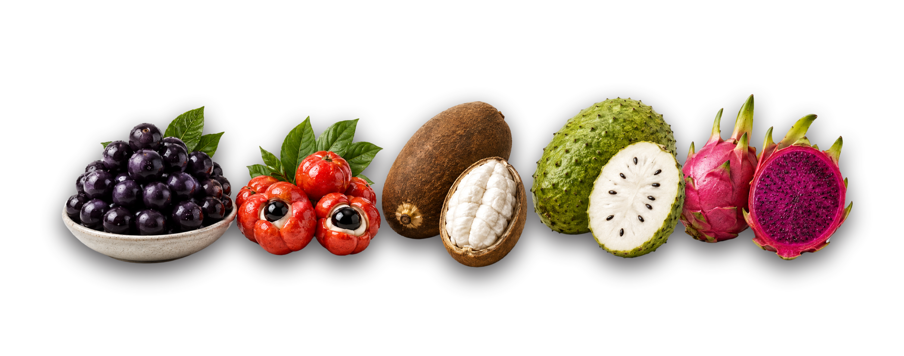 Açaí e frutas tropicais do acervo Rajá